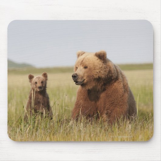 カブスを持つ灰色グマ マウスパッド (正面)