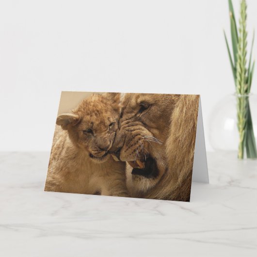 カブスライオンおよびカード カード (正面)