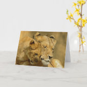カブス雌ジシおよびカード カード (黄色い花)