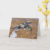 カブトガニの挨拶状-内部のブランク カード (黄色い花)