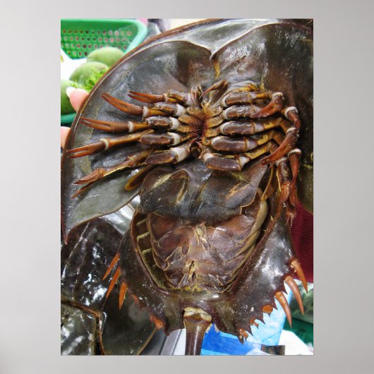 カブトガニ ... タイ・アジアの屋台料理 ポスター (正面)
