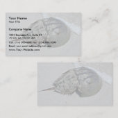 カブトガニ-男性 名刺 (正面/裏面)