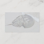 カブトガニ-男性 名刺 (裏面)