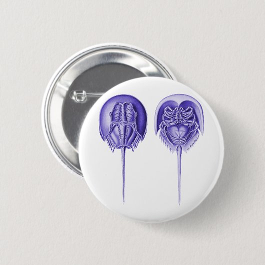 カブトガニ 缶バッジ (正面&裏面)