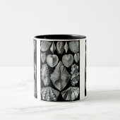 カブトガニ、Trilobites及びかたつむり ツートーンマグカップ (中央)