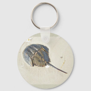 カブトガニKeychain キーホルダー