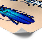 カブトムコレクション ポスター (角)