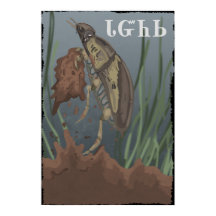 カブトムシが泥を見つける