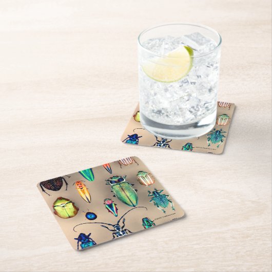 カブトムシのコレクション スクエアペーパーコースター (インサイチュ)