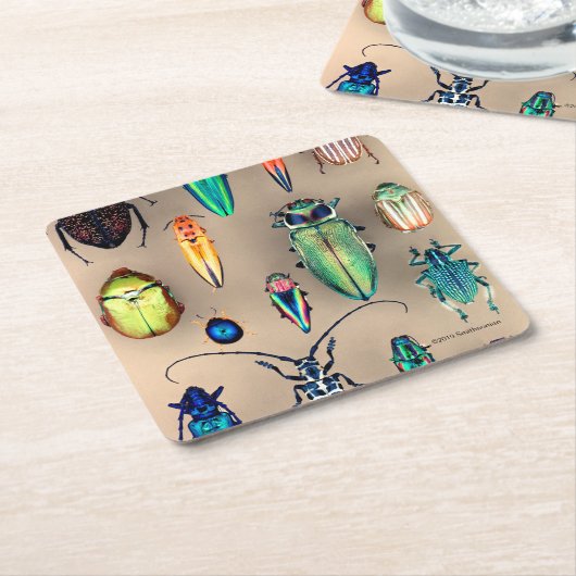 カブトムシのコレクション スクエアペーパーコースター (アングル)