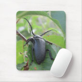 カブトムシの旅行 マウスパッド (マウス)