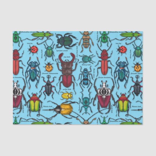 カブトムシの青 薄葉紙 (正面)