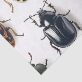 カブトムシティッシュペーパー 薄葉紙 (詳細)