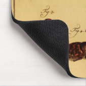 カブトムシ亜科 マウスパッド (コーナー)