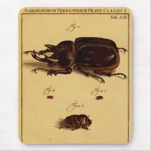 カブトムシ亜科 マウスパッド
