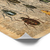 カブトムシ動物学ヴィンテージイラストレーション芸術 ポスター (角)