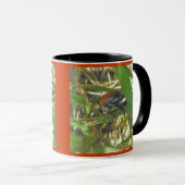 カブトムシ日本の マグカップ (正面右)