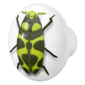 カブトムシ虫かわいいグリーンブラック セラミックノブ (右)