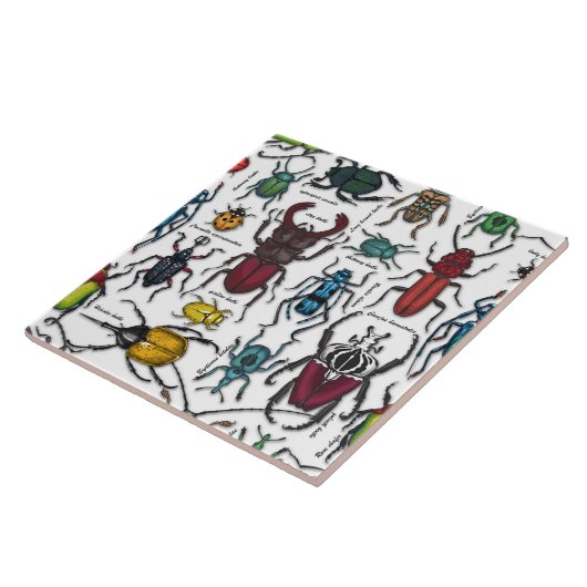 カブトムシ類 タイル (側面)