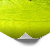 カブトムシ，カブトムシ，バグ ポスター (角)