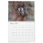 カブトムシ！カレンダー カレンダー (2月 2026)