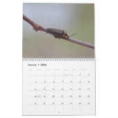 カブトムシ！カレンダー カレンダー (1月 2026)