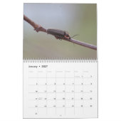 カブトムシ！カレンダー カレンダー (1月 2027)