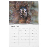 カブトムシ！カレンダー カレンダー (2月 2027)