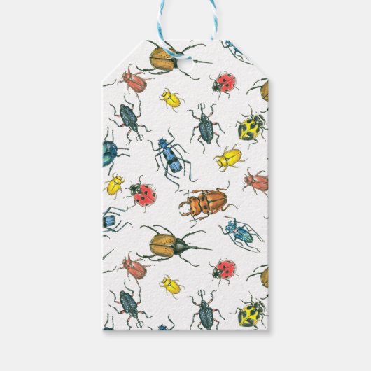 カブトムシ ギフトタグ (正面)