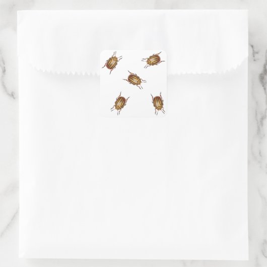 カブトムシ スクエアシール (バッグ)