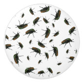 カブトムシ セラミックノブ (正面)