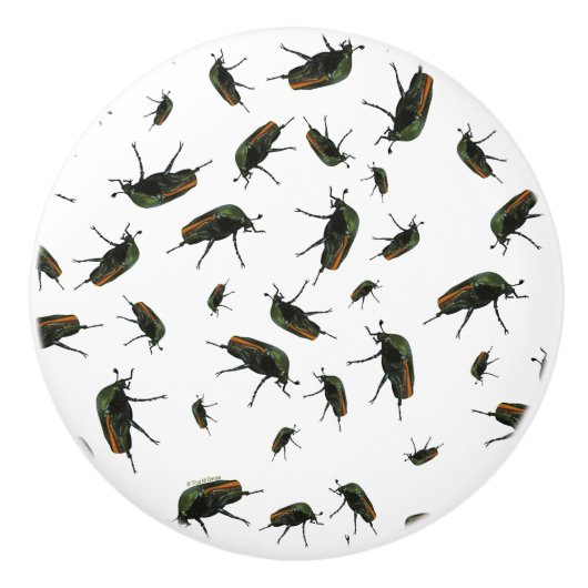 カブトムシ セラミックノブ (正面)