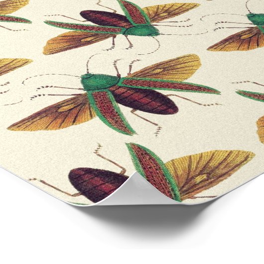 カブトムシ ポスター (角)