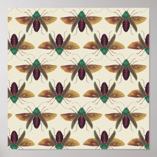 カブトムシ ポスター (正面)