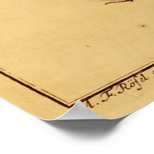 カブトムシ ポスター (角)