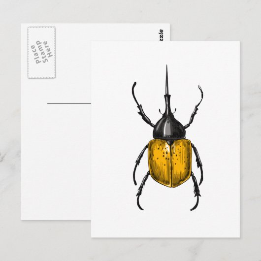 カブトムシ ポストカード (正面/裏面)