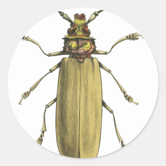 カブトムシ ラウンドシール (正面)