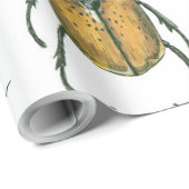 カブトムシ ラッピングペーパー (ロールコーナー)