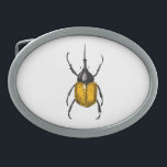 カブトムシ 卵形バックル<br><div class="desc">ヘラクレス甲虫の手描きベクトルイラストレーション</div>
