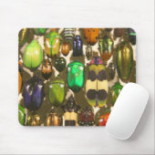 カブトムシ、虫および昆虫 マウスパッド (マウス)