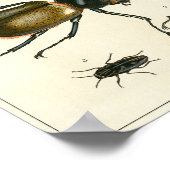 カブトムスイラストレーションプリント ポスター (角)