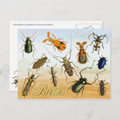 カブレカラフルス ポストカード (正面/裏面)