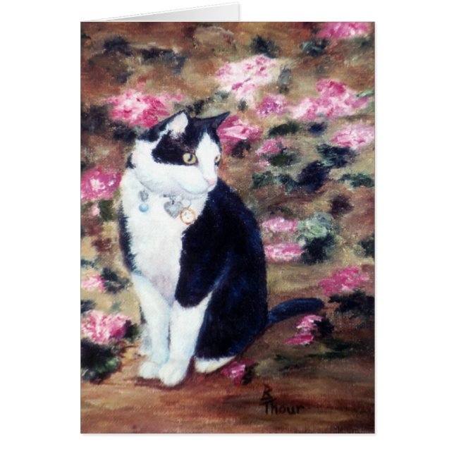 カブードルキャットカ空白のード (正面)