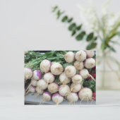 カブ杭 ポストカード (スタンド正面)