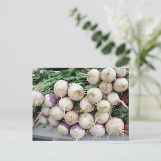 カブ杭 ポストカード (スタンド正面)