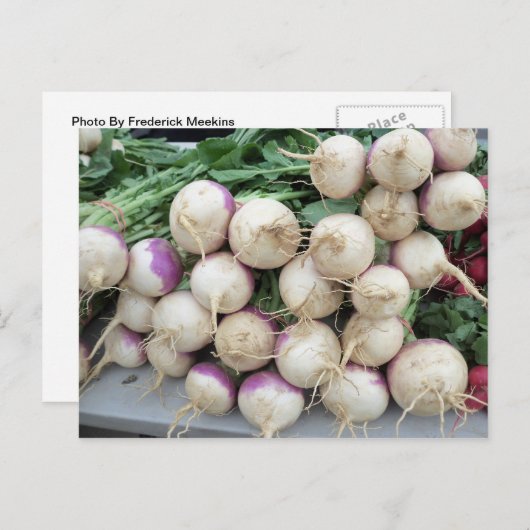 カブ杭 ポストカード (正面/裏面)