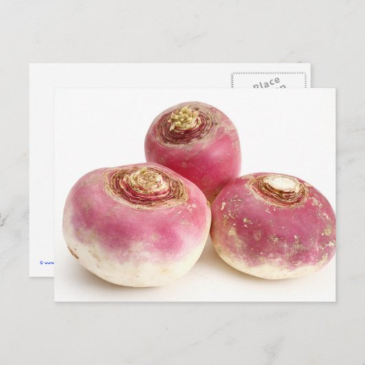 カブ ポストカード (正面/裏面)