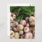 カブ ポストカード (正面/裏面)