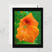 カプシン ポストカード (正面/裏面)