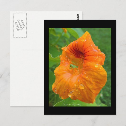 カプシン ポストカード (正面/裏面)